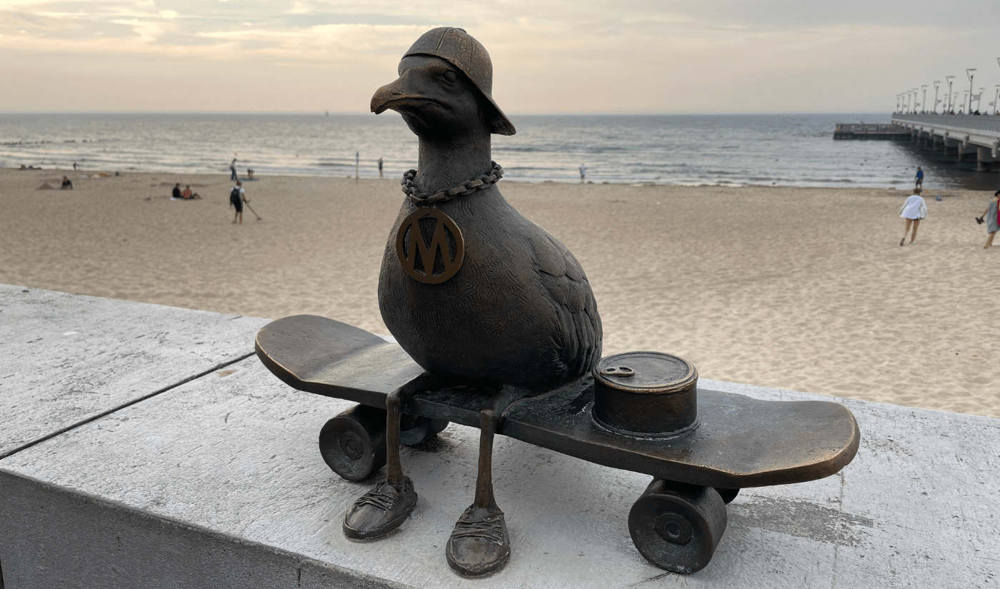 Skater Möwe in Kolbeg