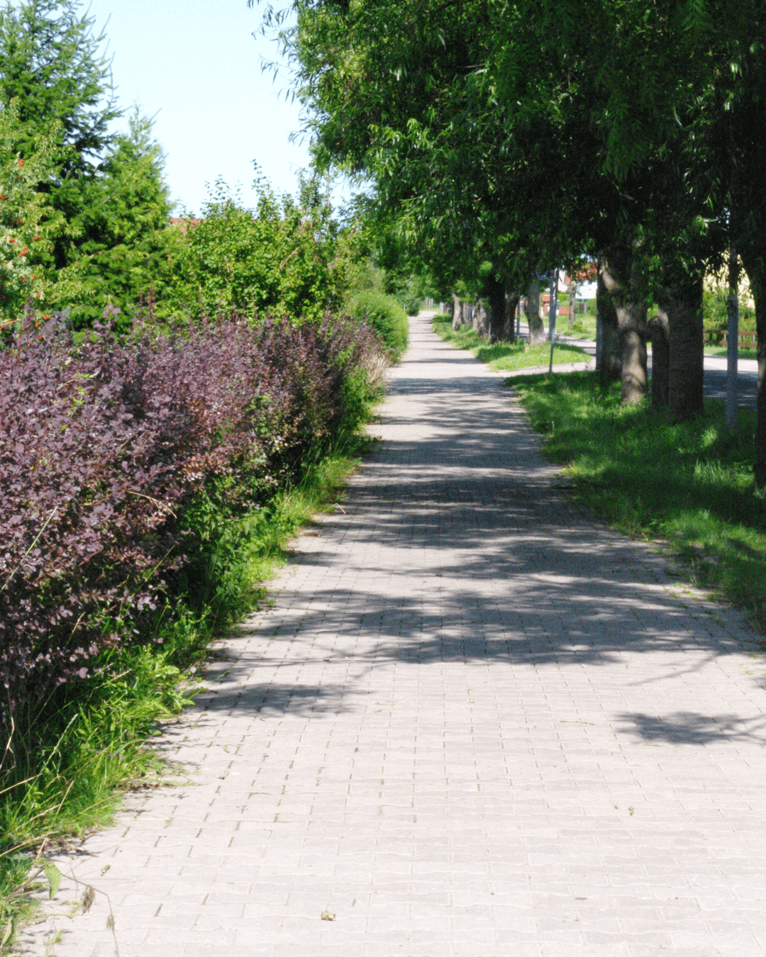 blog-budzistowo-fahrradweg