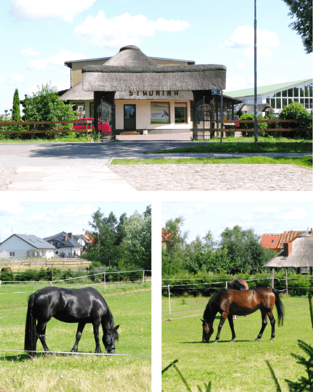 blog-budzistowo-reiterhof